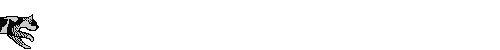 Gatito